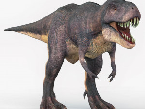 monster trex dinosaur 3D 모델