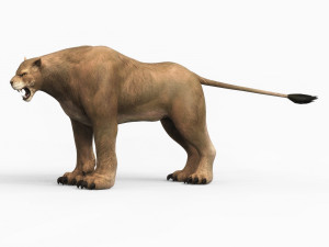 fantasy monster cougar Modello 3D