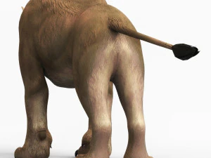 fantasy monster cougar 3D Model