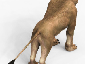 fantasy monster cougar Modello 3D