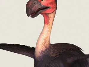 uccello mostro fantasy Modello 3D