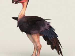 uccello mostro fantasy Modello 3D