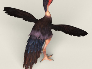 fantasy monster bird Model 3D