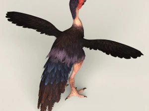 uccello mostro fantasy Modello 3D