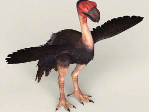 uccello mostro fantasy Modello 3D