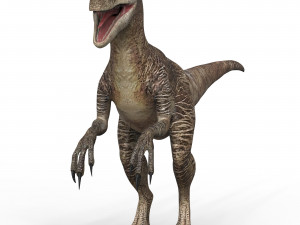 Velociraptor Dinosaur 3D मॉडल