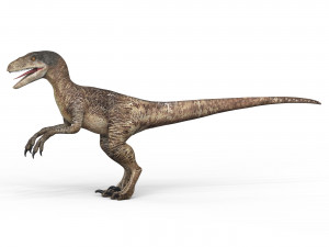 Velociraptor Dinosaur 3D मॉडल