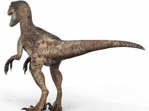 Velociraptor Dinosaur 3D मॉडल