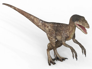 Velociraptor Dinosaur 3D मॉडल