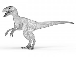 Velociraptor Dinosaur 3D मॉडल