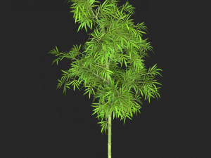 Realistic Game Ready Bamboo Tree 04 3Dモデル