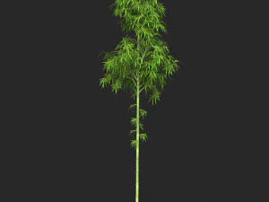 현실적인 게임 준비 대나무 나무 05 3D 모델