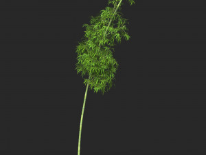 Realistic Game Ready Bamboo Tree 06 3D Модель