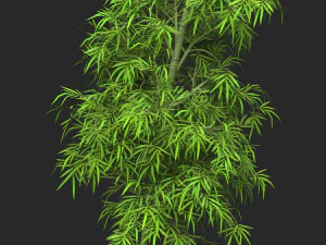 Realistic Game Ready Bamboo Tree 06 3D Model