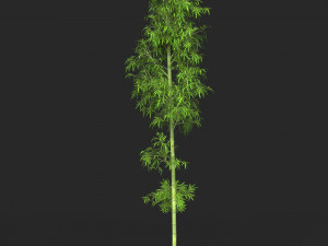 Realistic Game Ready Bamboo Tree 07 3D मॉडल