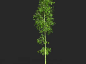 Realistic Game Ready Bamboo Tree 07 3D Model