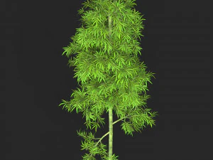 Realistic Game Ready Bamboo Tree 07 3D Model