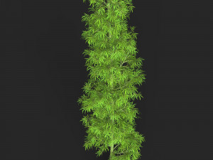 Realistic Game Ready Bamboo Tree 08 Modelo 3D