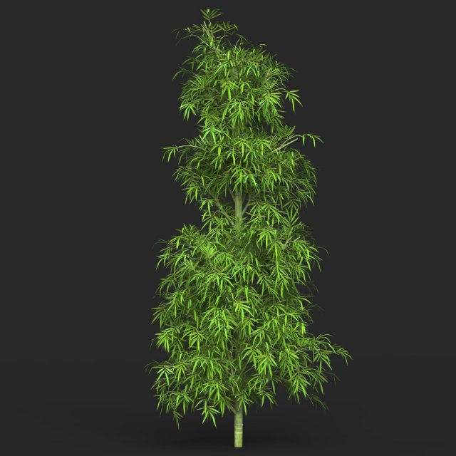 Realistic Game Ready Bamboo Tree 09 3D Model .c4d .max .obj .3ds .fbx .stl .blend 