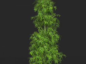 Realistic Game Ready Bamboo Tree 09 3D Model