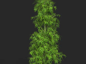 &Aacute;rvore de bambu pronta para jogo realista 09 Modelo 3D