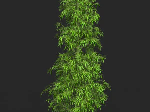 Realistic Game Ready Bamboo Tree 09 3D Model