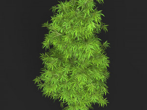 Realistic Game Ready Bamboo Tree 09 3D Model
