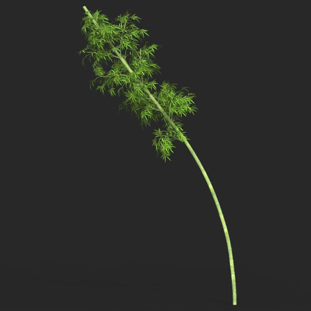 Realistic Game Ready Bamboo Tree 10 3D Model .c4d .max .obj .3ds .fbx .stl .blend 