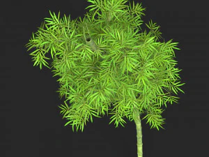 Realistic Game Ready Bamboo Tree 10 3D Model
