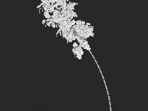 Realistic Game Ready Bamboo Tree 10 3D Model