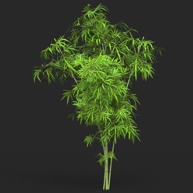 Realistic Game Ready Bamboo Tree 11 Modello 3D .c4d .max .obj .3ds .fbx .stl .blend 
