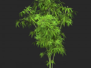 Realistic Game Ready Bamboo Tree 11 3D-Modell