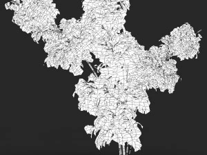 Realistic Game Ready Bamboo Tree 13 3D Model