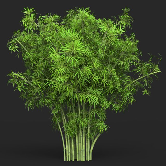 Realistic Game Ready Bamboo Tree 15 3D Модель .c4d .max .obj .3ds .fbx .stl .blend 