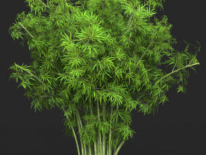 Realistic Game Ready Bamboo Tree 15 3D Model