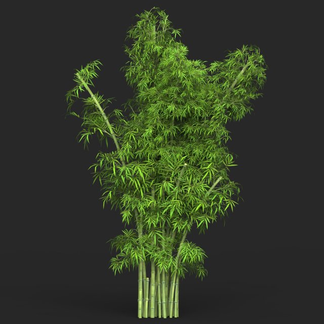Realistic Game Ready Bamboo Tree 16 Modelo 3D .c4d .max .obj .3ds .fbx .stl .blend 