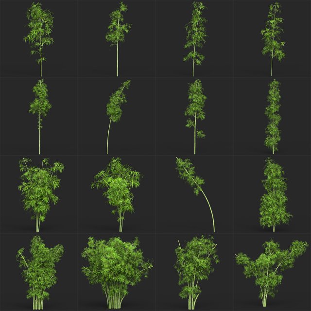 Realistic Game Ready Bamboo Tree Collection 3D Модель .c4d .max .obj .3ds .fbx .stl .blend 