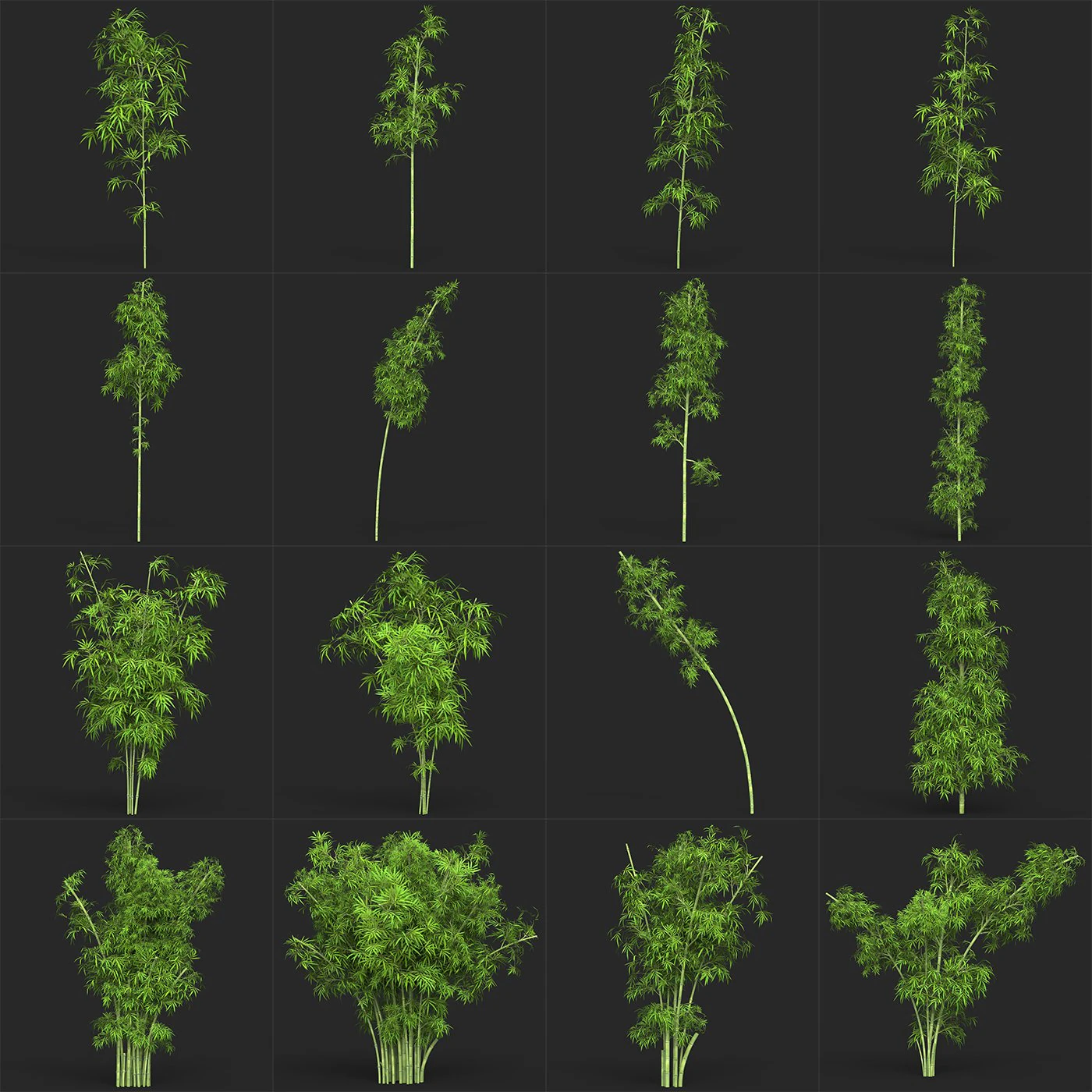 Realistic Game Ready Bamboo Tree Collection 3D Model .c4d .max .obj .3ds .fbx .stl .blend