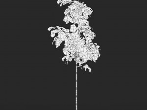 Realistic Game Ready Bamboo Tree Collection 3D Модель
