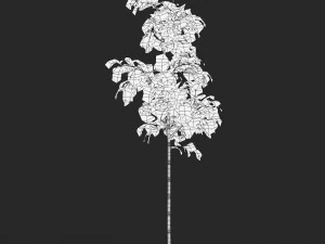 Realistic Game Ready Bamboo Tree Collection 3D Model