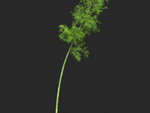 Realistic Game Ready Bamboo Tree Collection 3D Модель