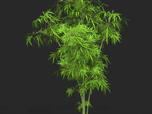 Realistic Game Ready Bamboo Tree Collection 3D Model