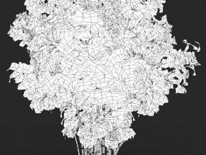 Realistic Game Ready Bamboo Tree Collection 3D Модель