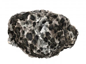 Volcanic Rock 01 3D Model