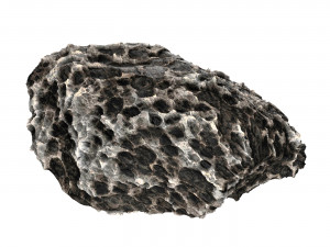 Volcanic Rock 03 3D 模型
