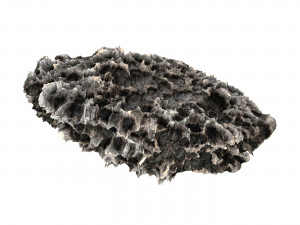 Volcanic Rock 08 3D 模型