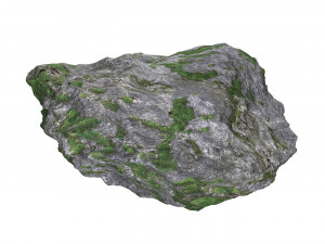 Ground Rock 01 3D Model