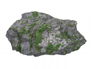 Ground Rock 01 3D Model