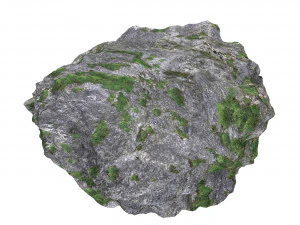 Ground Rock 01 3D Model