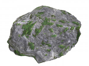 Ground Rock 02 3D Model